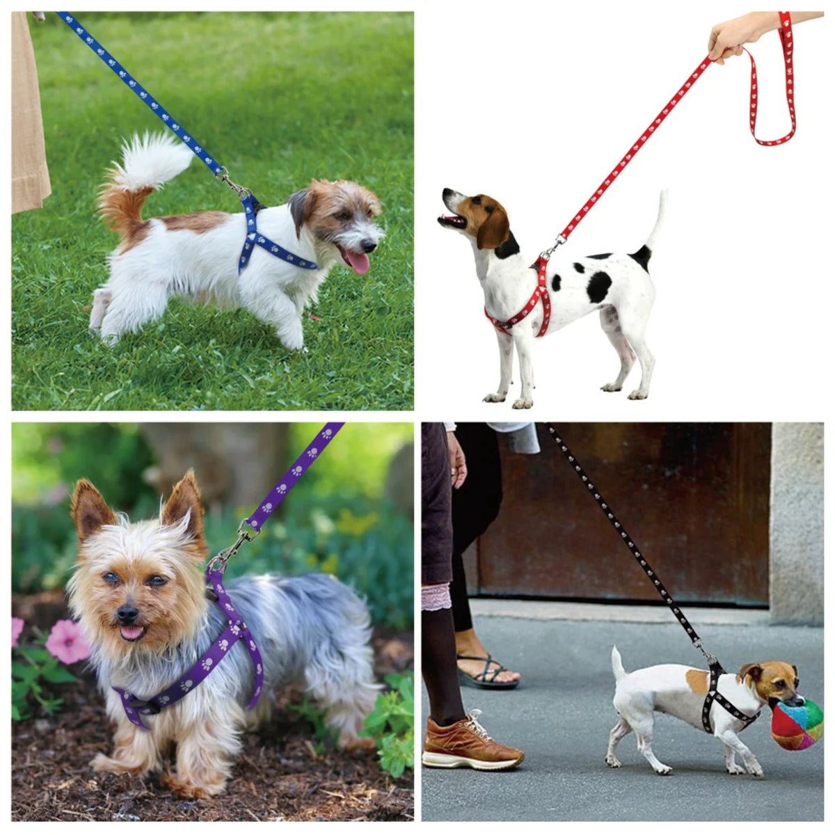 Adjustable Nylon Dog Harness And Leash Set With Paw Print Design