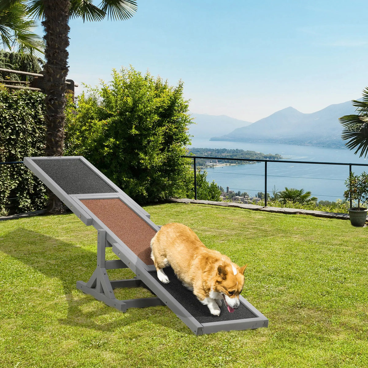Premium Wooden Dog Agility Seesaw For Engaging Outdoor Activity