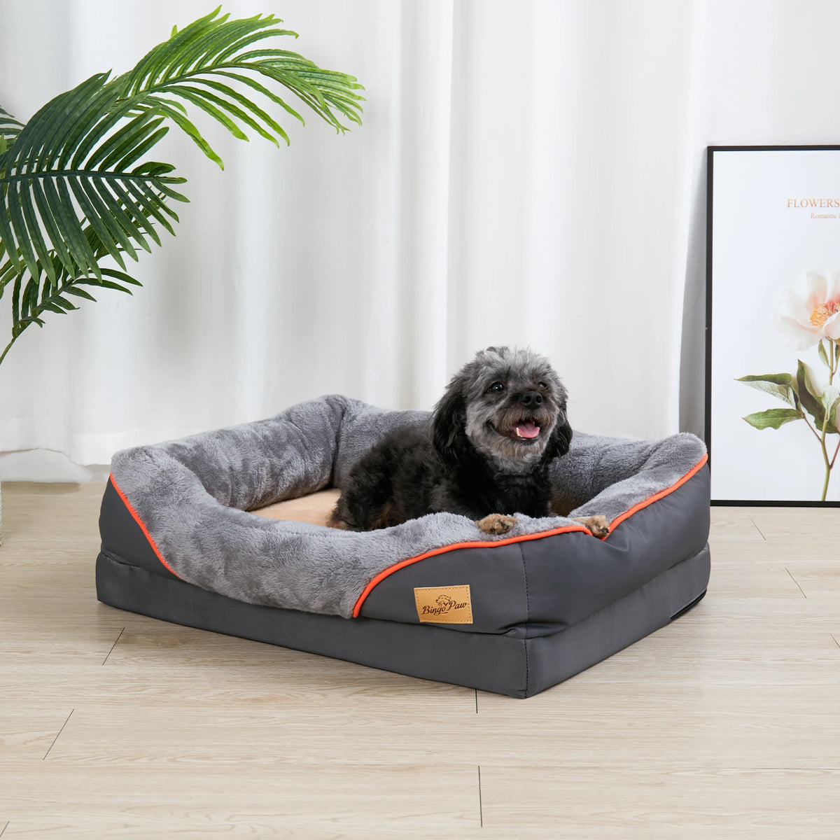 BINGOPAW Orthopedic Dog Bed with Foam Bolster and Removable Cover