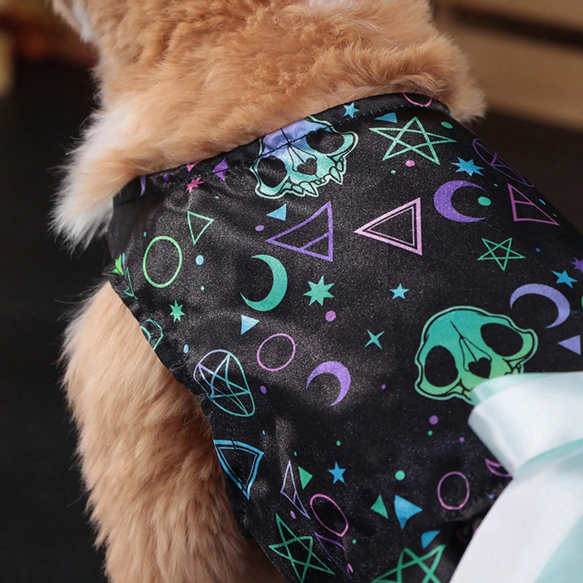 Halloween Dog Dress With Pumpkin And Skull Prints And Bowknot