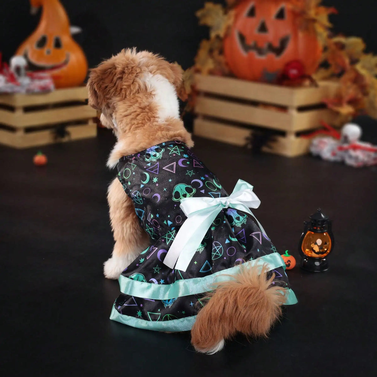Halloween Dog Dress With Pumpkin And Skull Prints And Bowknot