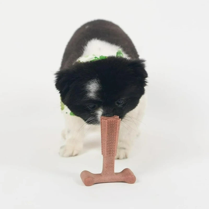 T Bone Nylon Chew Toy for Moderate and Aggressive Chewers