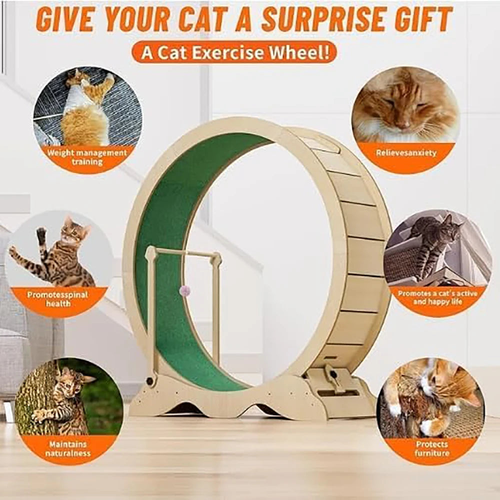 Cat Exercise Wheel With Detachable Carpeted Runway For Pet Fitness