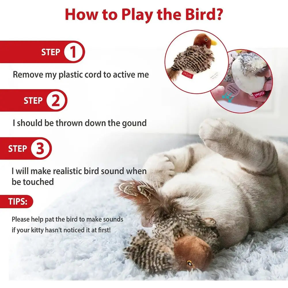 Interactive Automatic Chirping Bird Cat Toy With Feather Tail