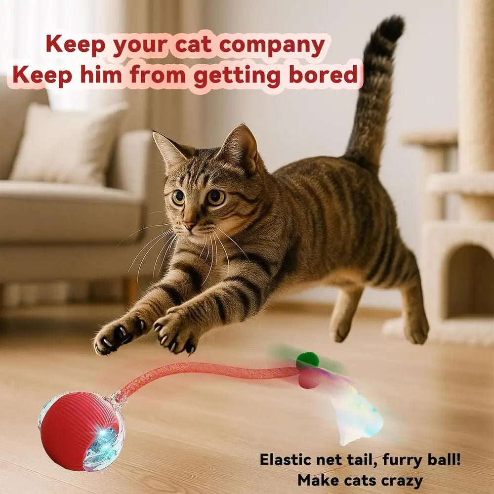 Automatic Interactive Cat Toy With Elastic Mesh Rolling Ball