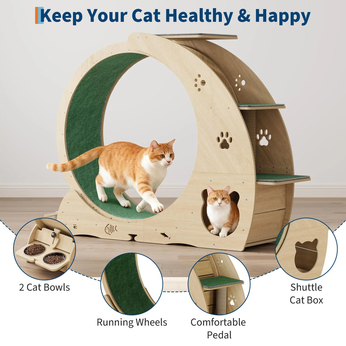 HiMiss Multifunctional Quiet Cat Exercise Wheel With Scratch Post