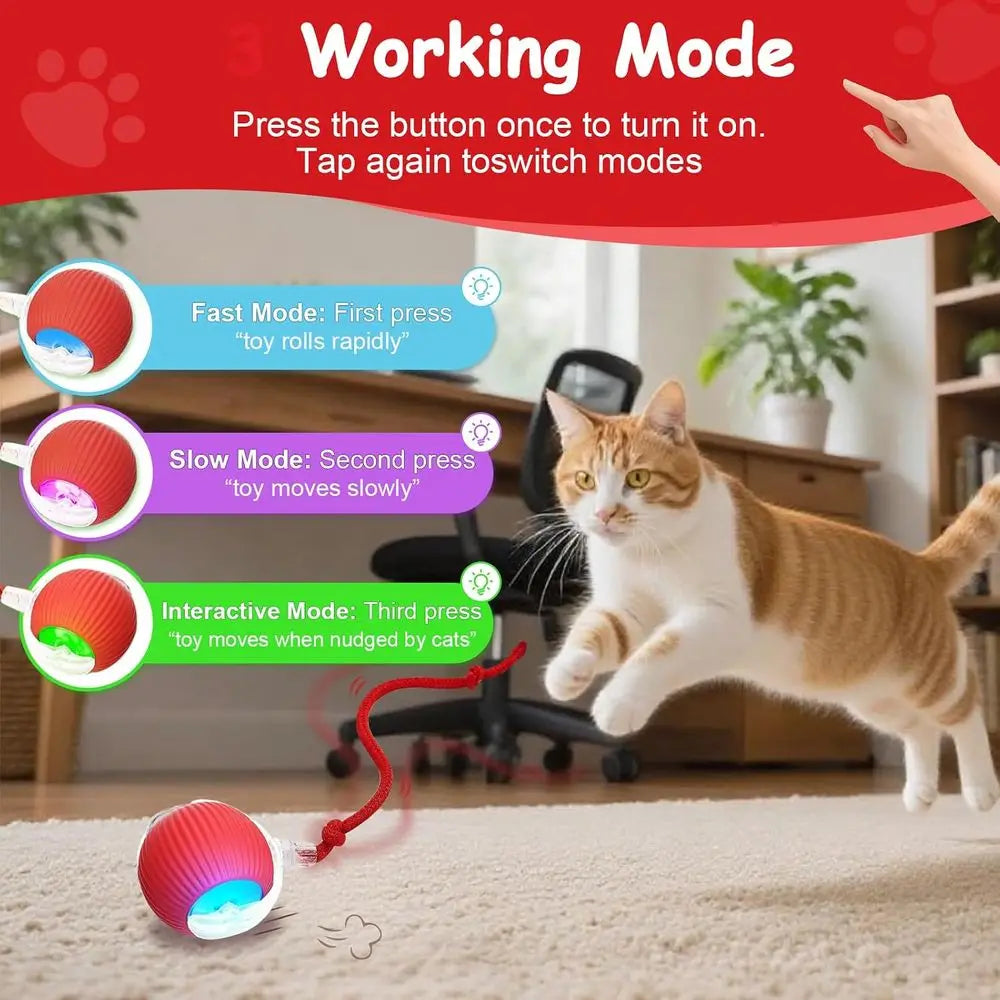 Automatic Rolling Interactive Ball For Indoor Cats And Dogs