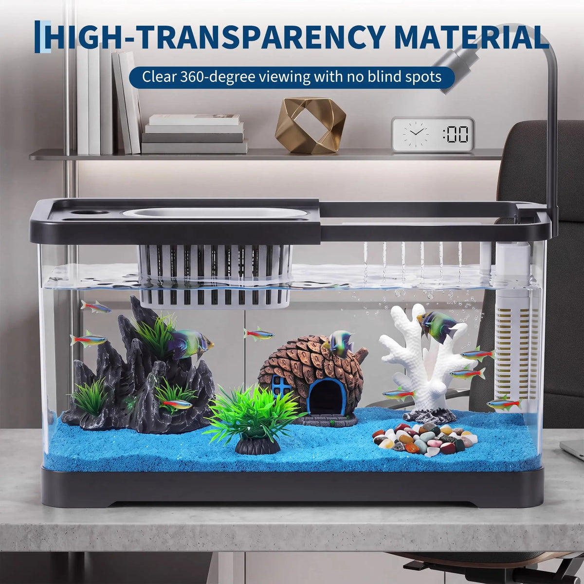 Complete Fish Tank Starter Kit With Filter And Light