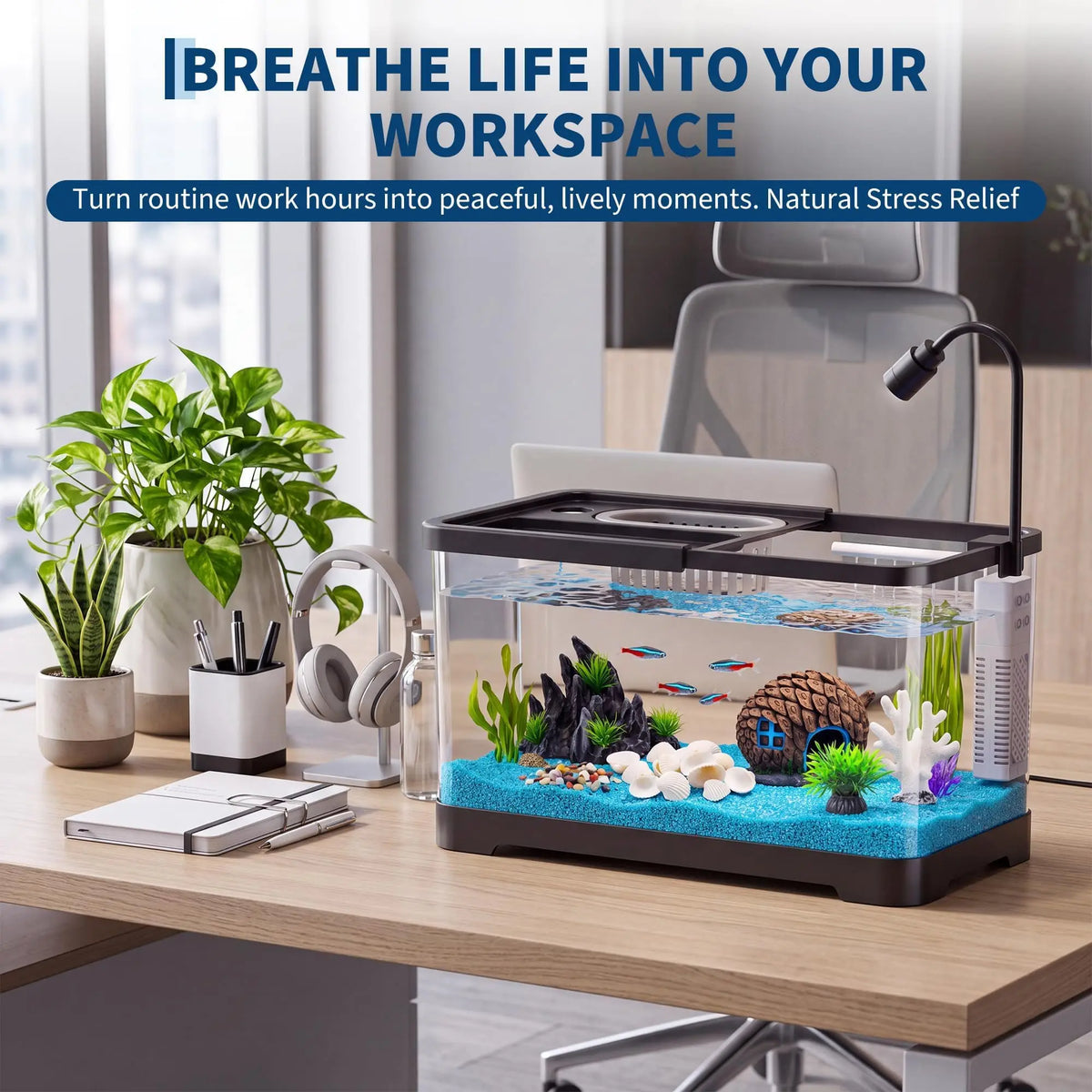 Complete Fish Tank Starter Kit With Filter And Light