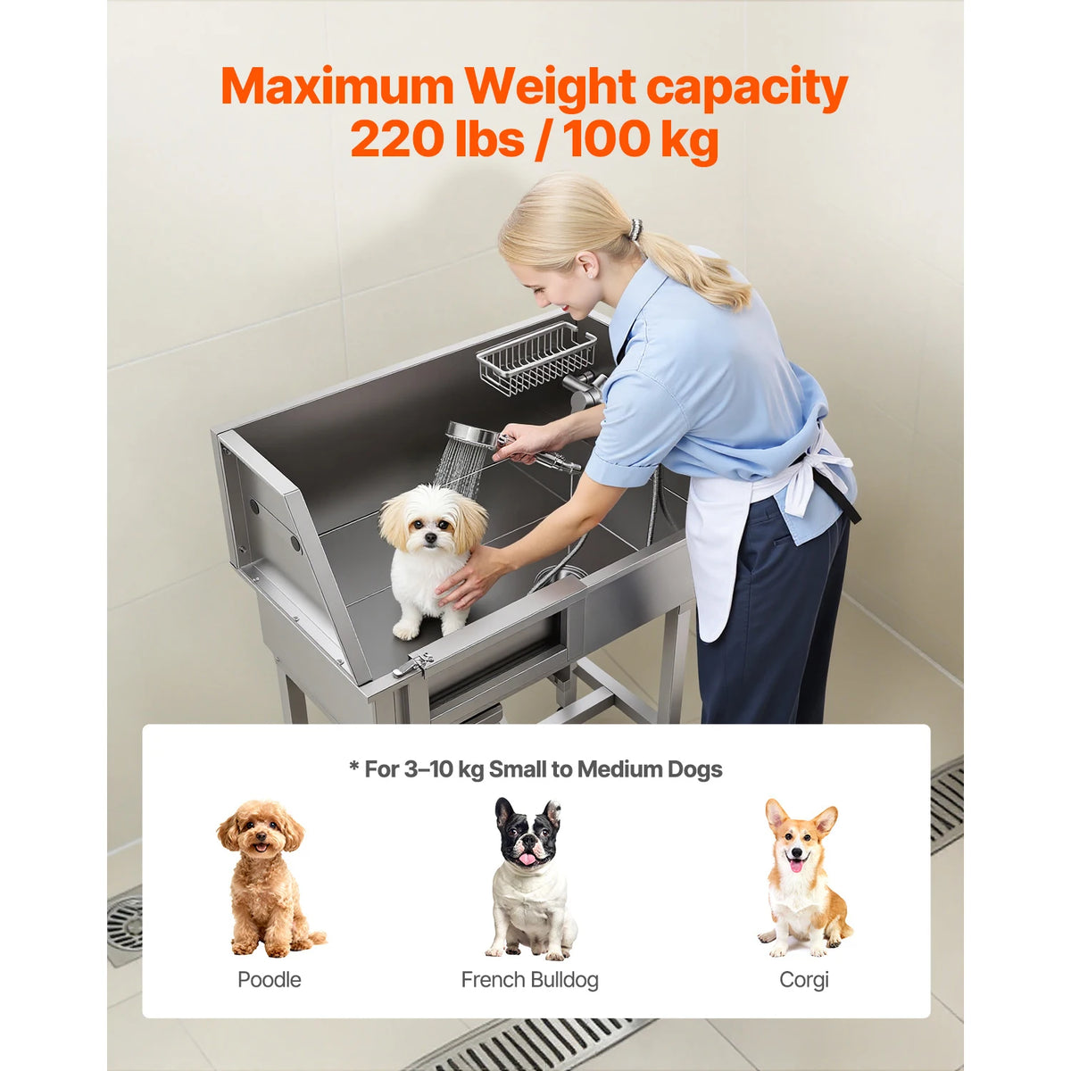 SucceBuy Stainless Steel Dog Washing Station With Shower Faucet Soap Holder