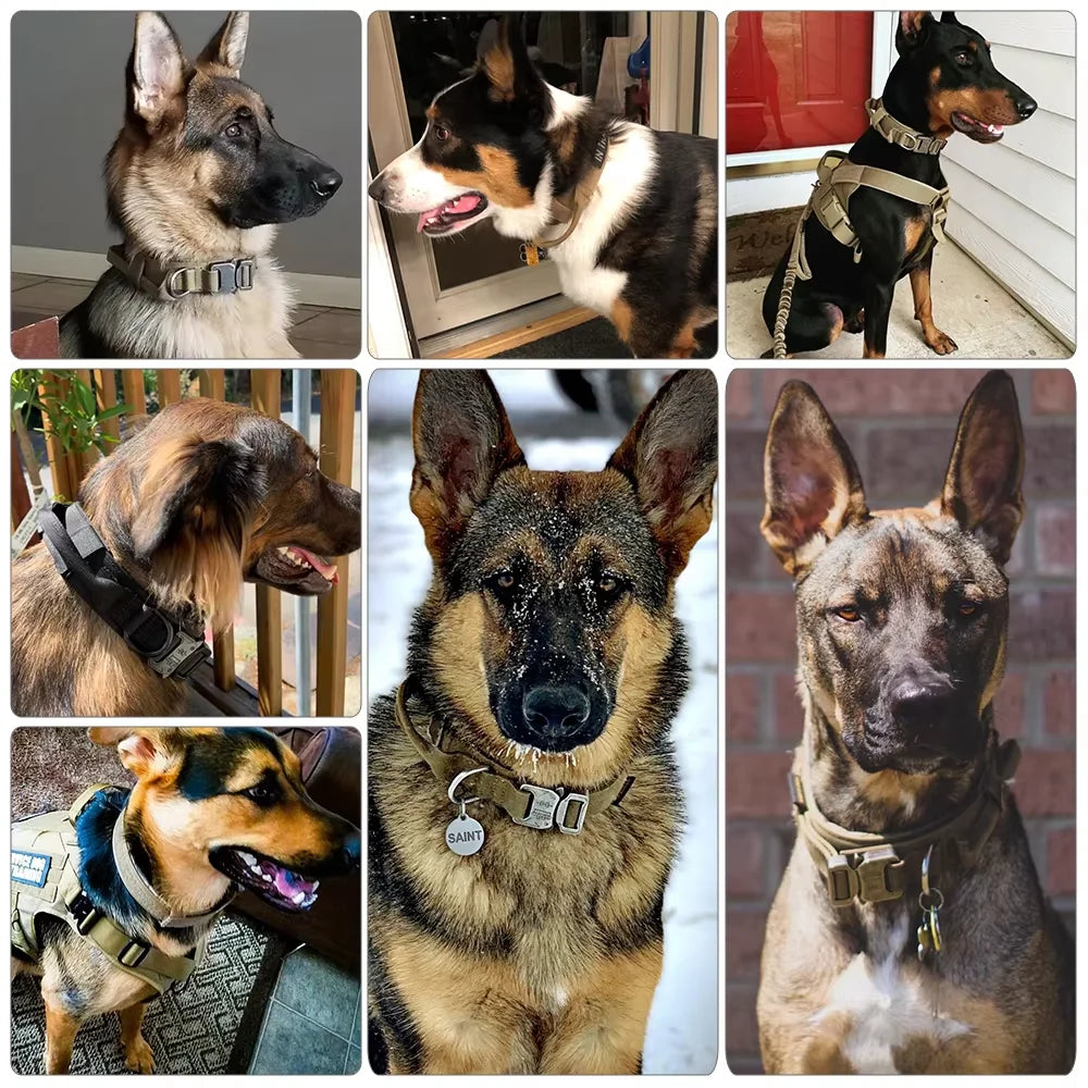 Adjustable Nylon Dog Training Collar And Leash Set With Handle