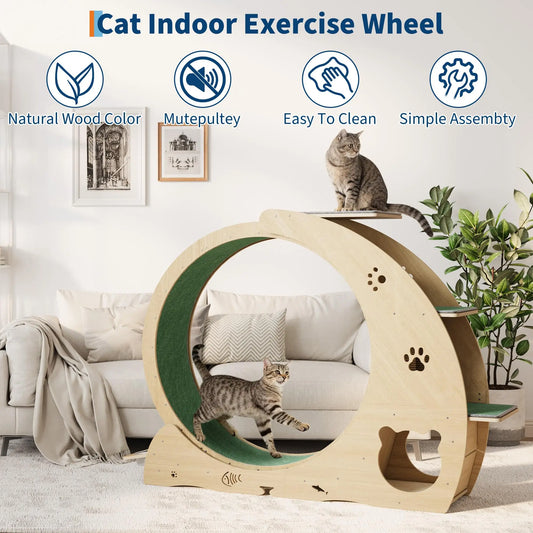 HiMiss Multifunctional Quiet Cat Exercise Wheel With Scratch Post