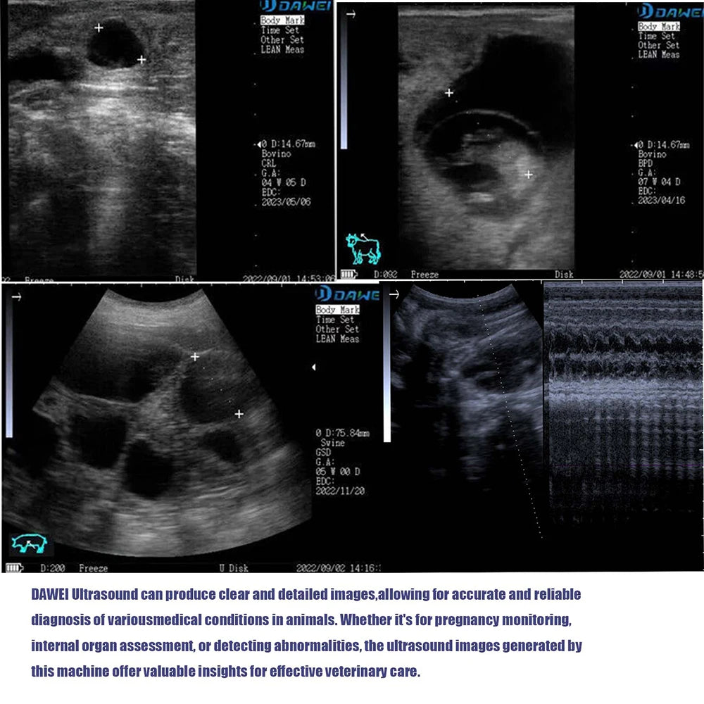 DAWEI Portable Veterinary Ultrasound Scanner For Pregnancy In Farm Animals