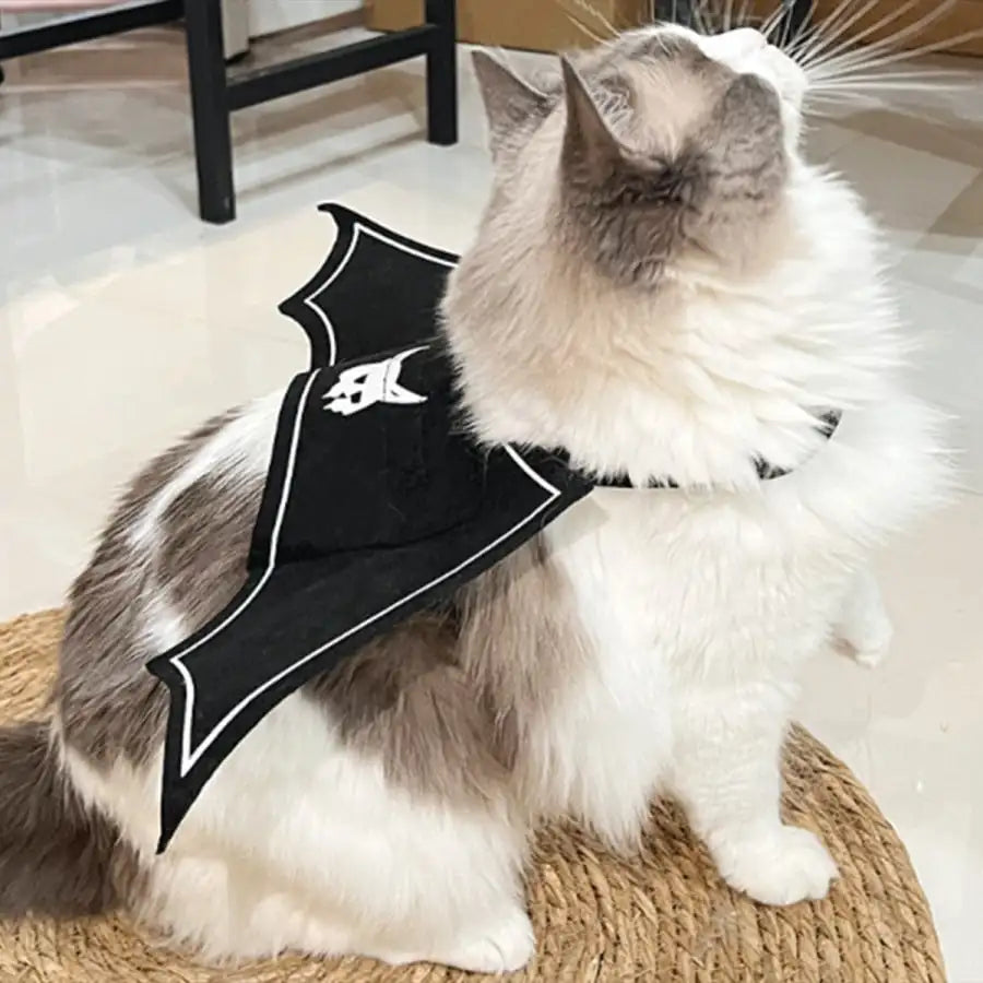 Halloween Bat Wings Pet Costume for Cats and Dogs Party Accessory