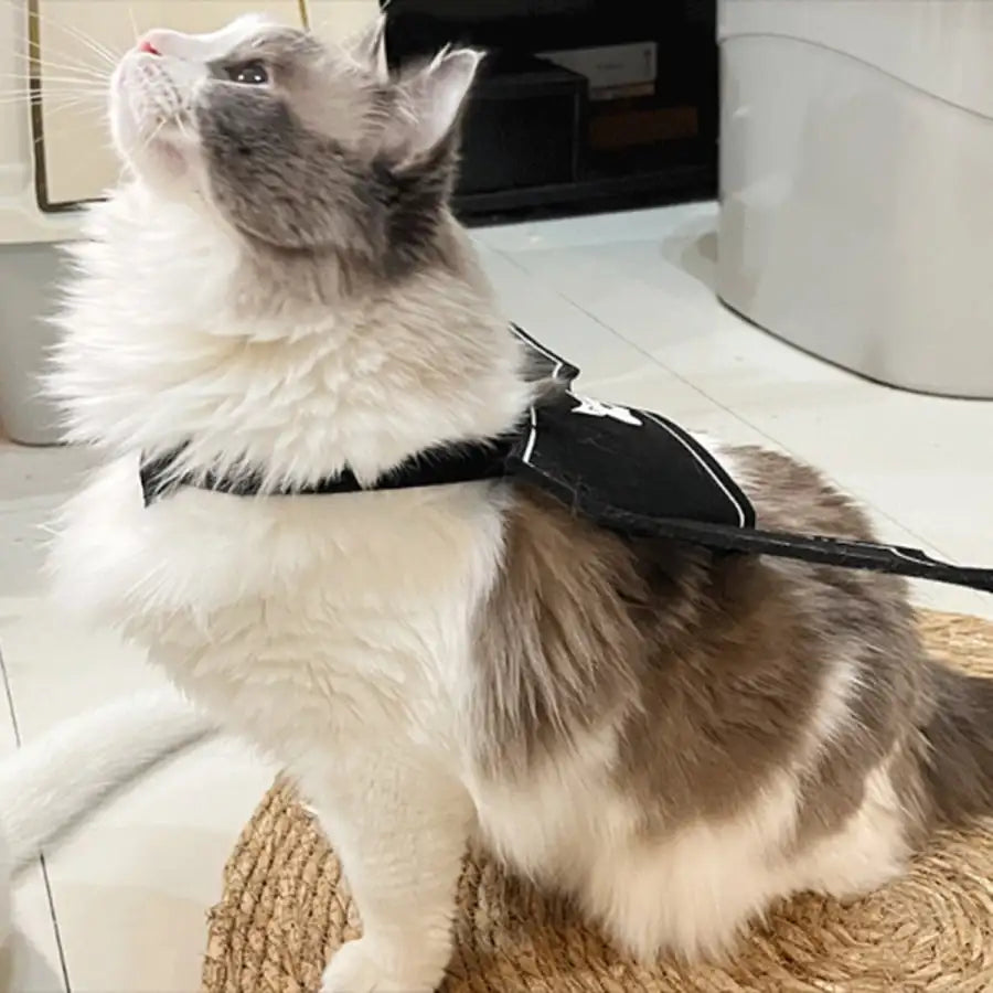 Halloween Bat Wings Pet Costume for Cats and Dogs Party Accessory