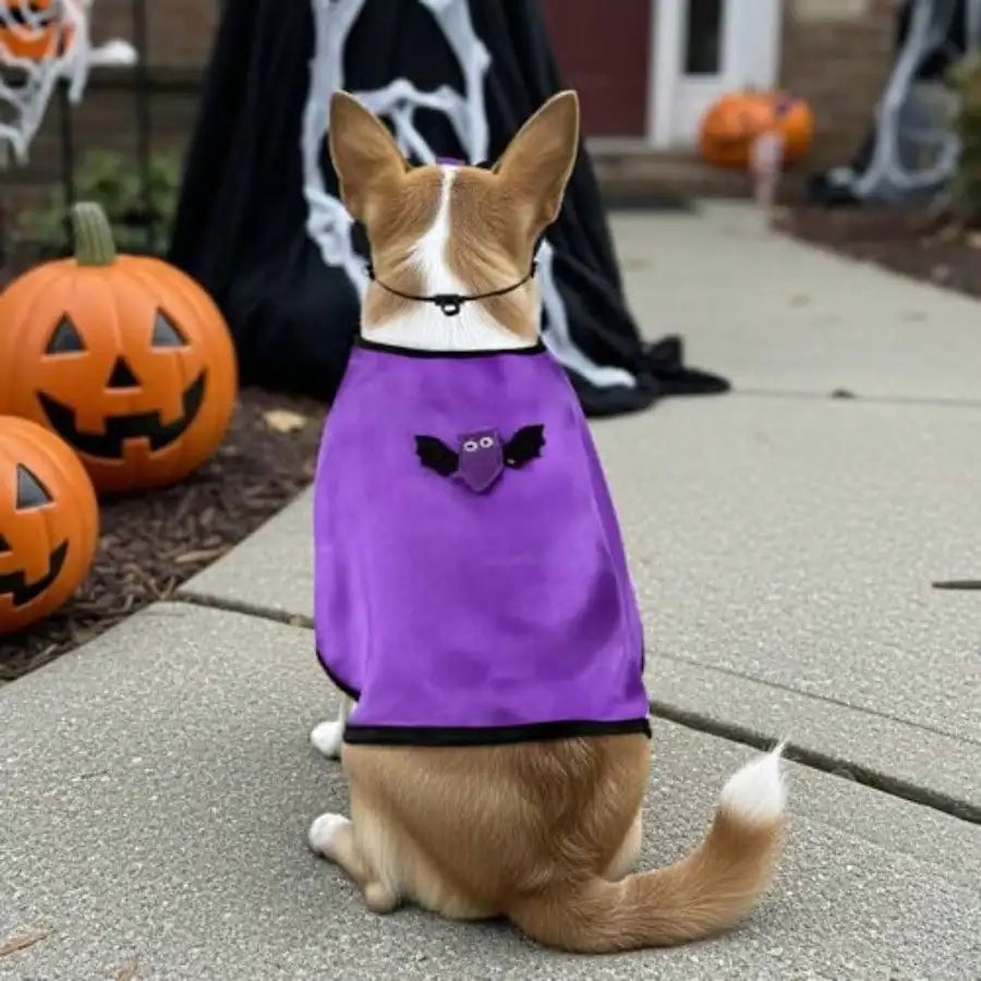 Dog And Cat Vampire Halloween Cape Costume With Bat Mask