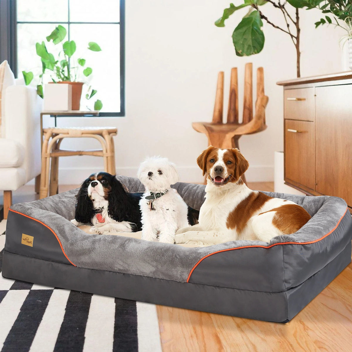 BINGOPAW Orthopedic Dog Bed with Foam Bolster and Removable Cover