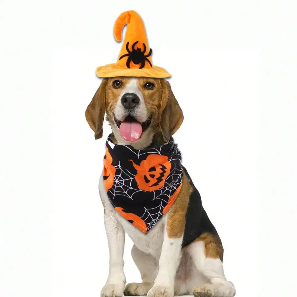Halloween Pet Witch Hat Bandana Set For Dogs And Cats񎟉