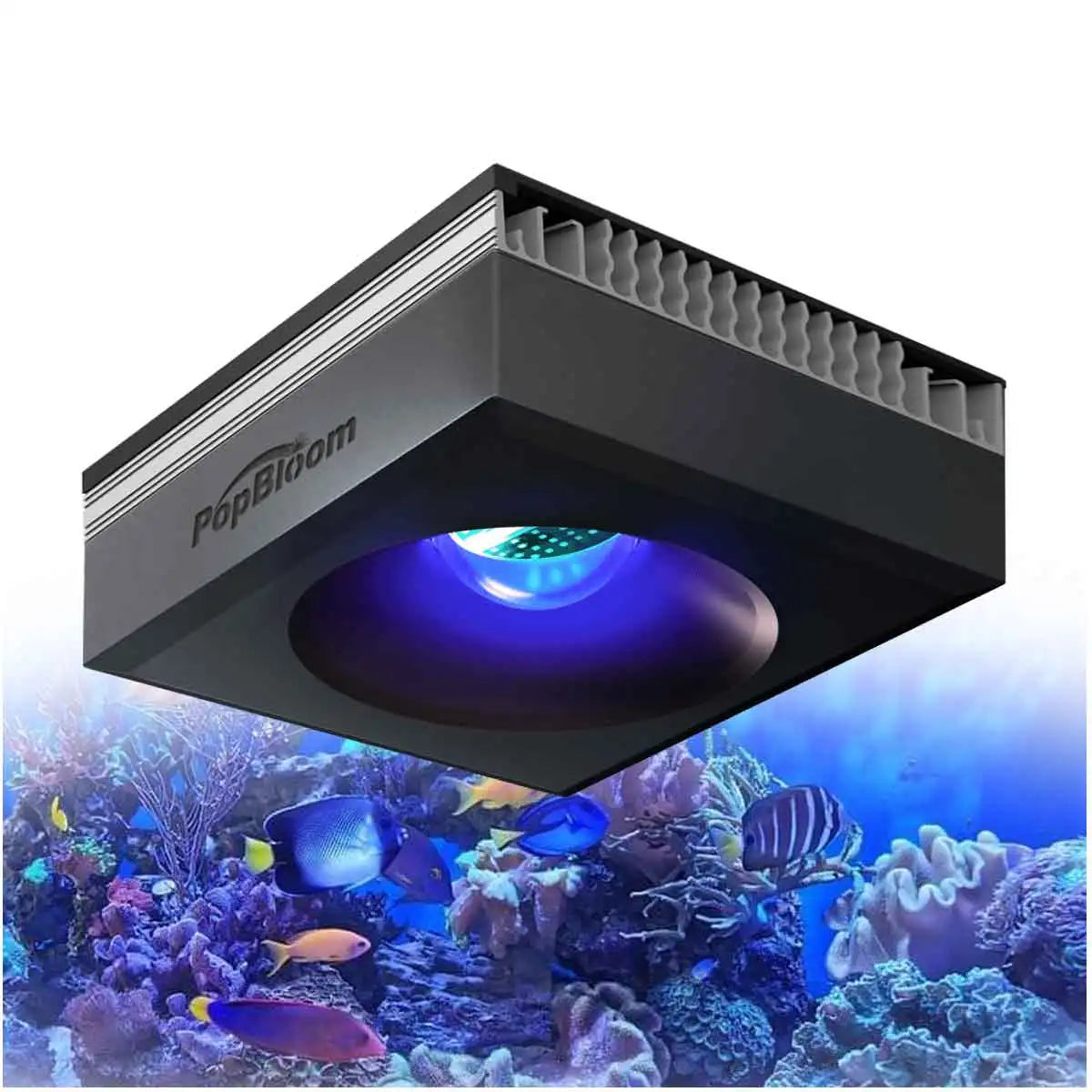 PopBloom RL90 Full Spectrum WiFi Reef Aquarium LED Light