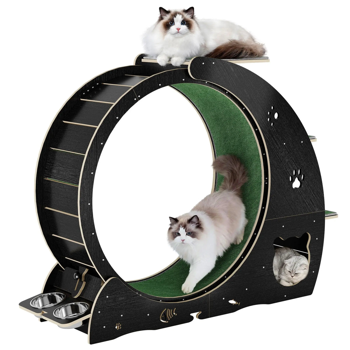 HiMiss Multifunctional Quiet Cat Exercise Wheel With Scratch Post