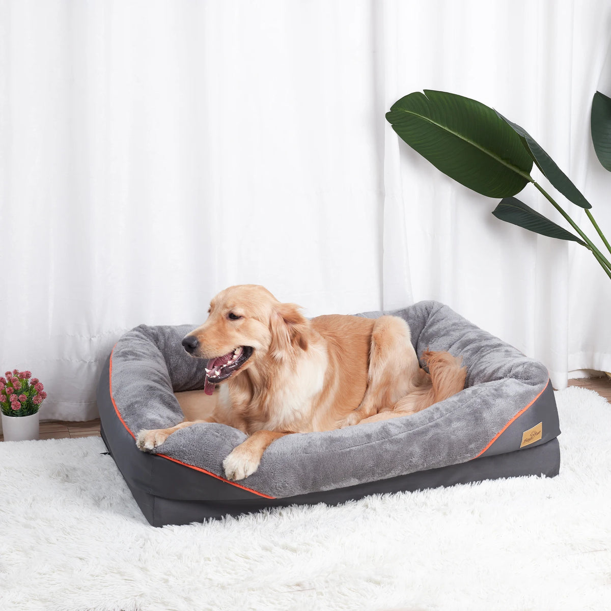 BINGOPAW Dog Bed Soft Anti Allergy Removable Washable Waterproof Cover