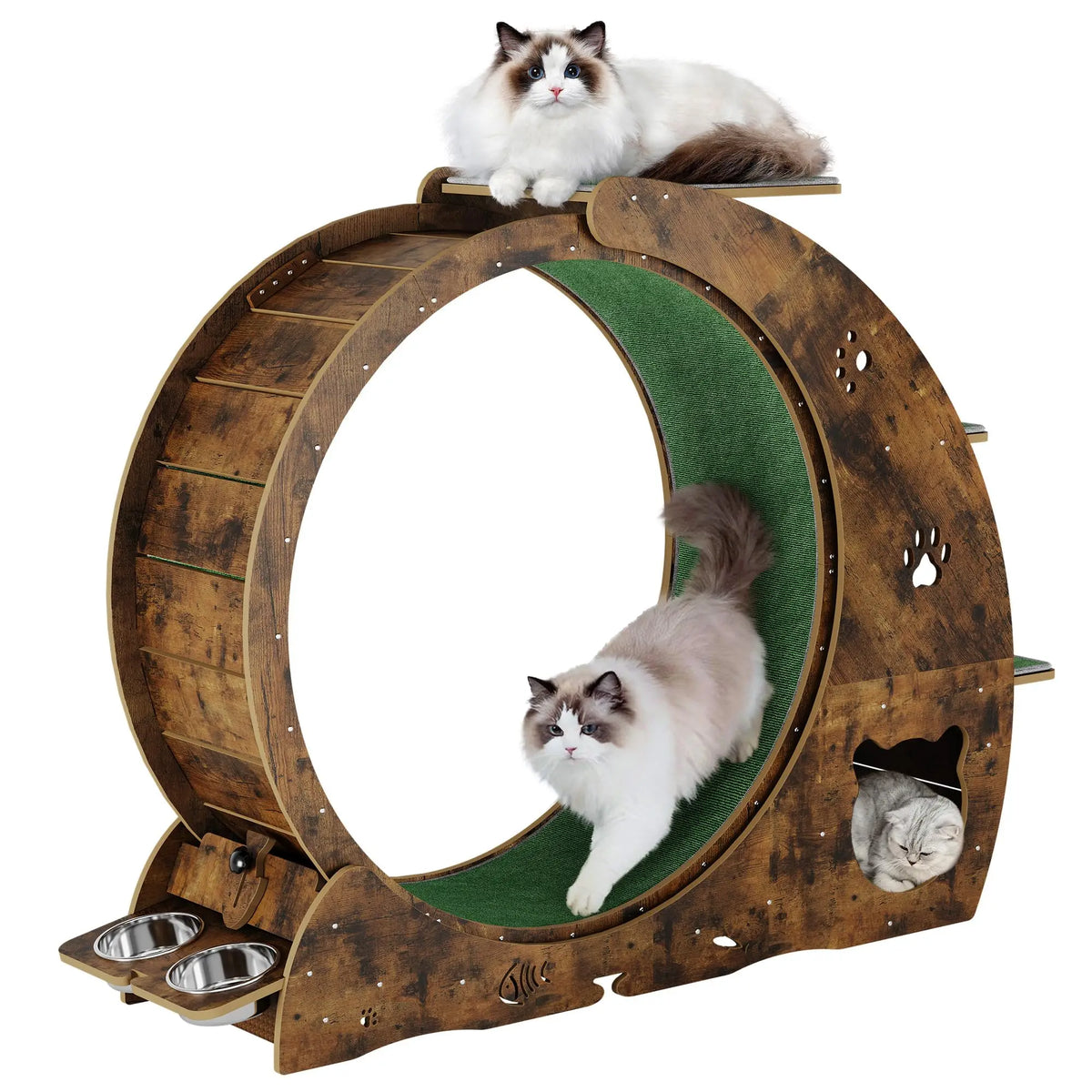 HiMiss Multifunctional Quiet Cat Exercise Wheel With Scratch Post