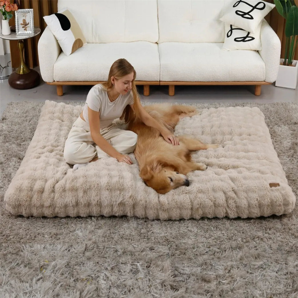 BORWART Ultra Plush Washable Dog Bed With Removable Soft Cover