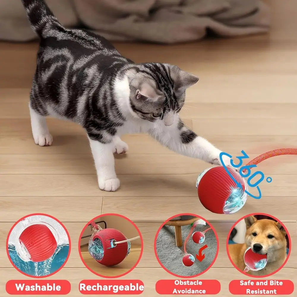 Automatic Interactive Cat Toy With Elastic Mesh Rolling Ball