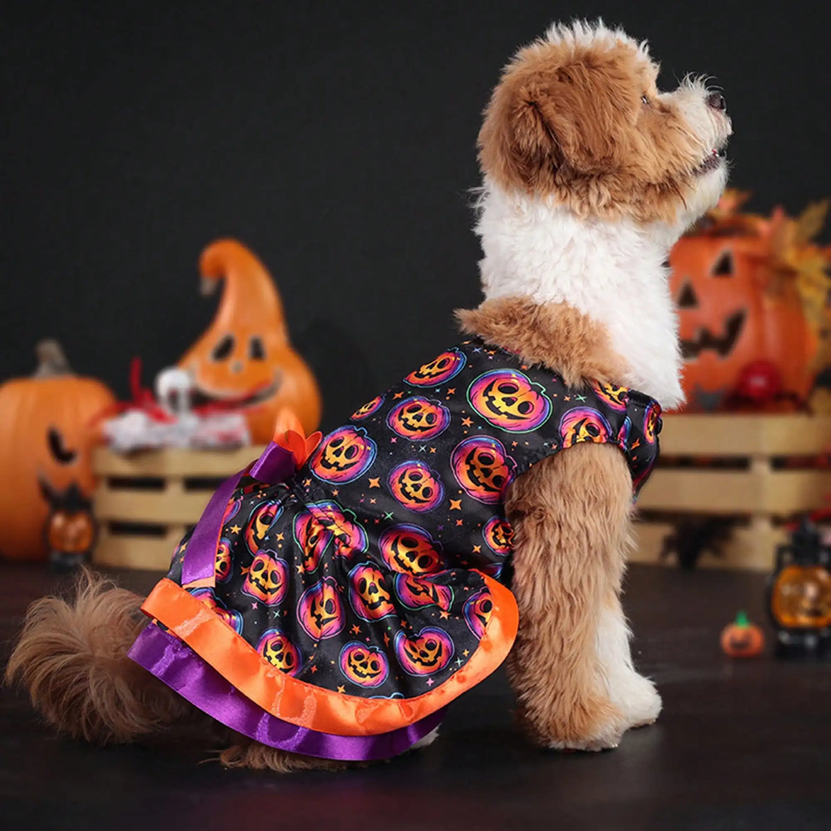 Pet Dog Halloween Pumpkin Skull Print Bowknot Dress