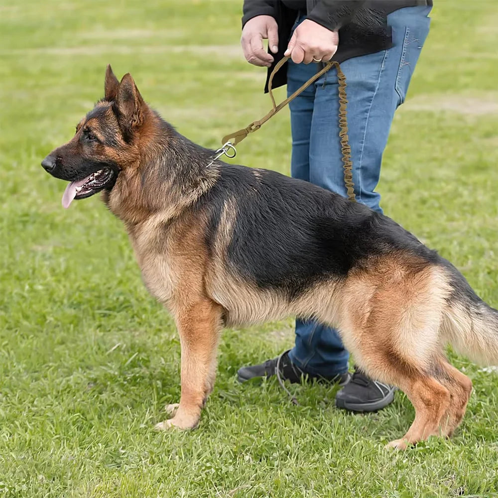 Adjustable Tactical Dog Leash With Dual Handles For Small Dogs