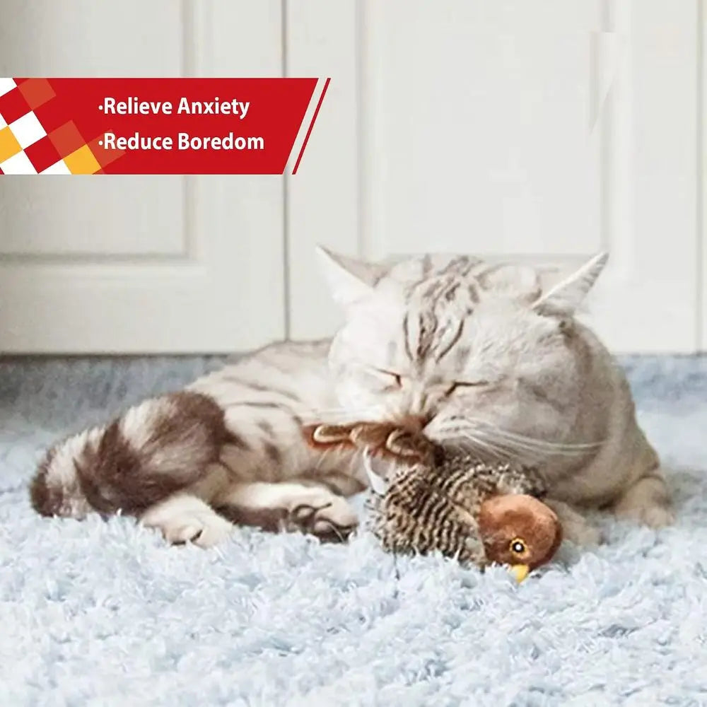 Interactive Automatic Chirping Bird Cat Toy With Feather Tail