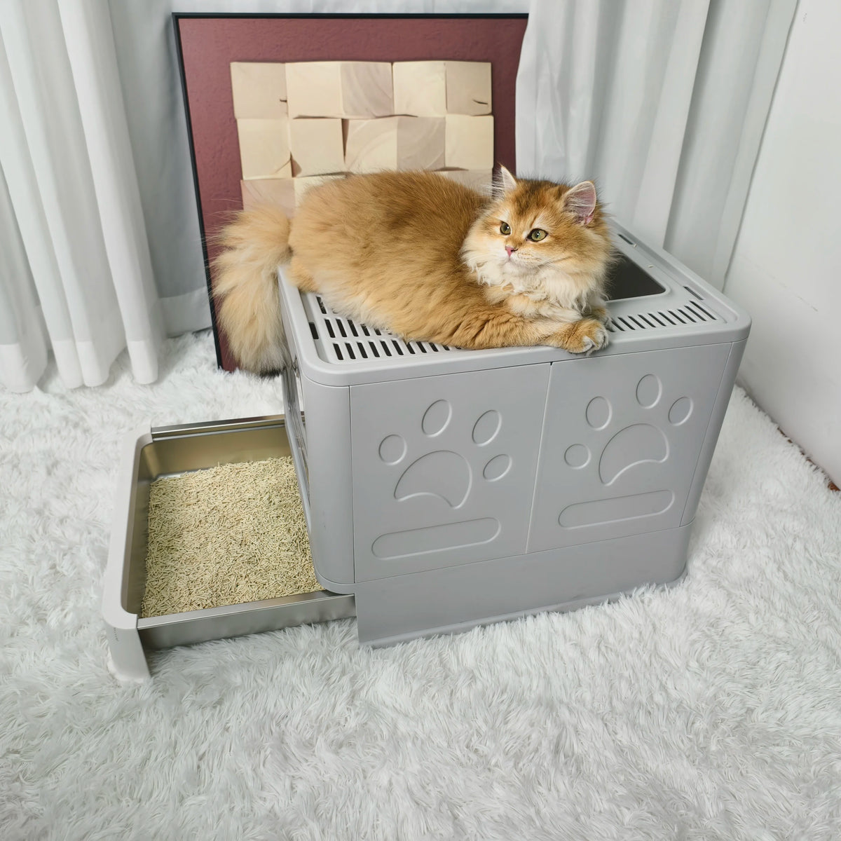 Enclosed Cat Litter Box With Front Entry And Top Exit