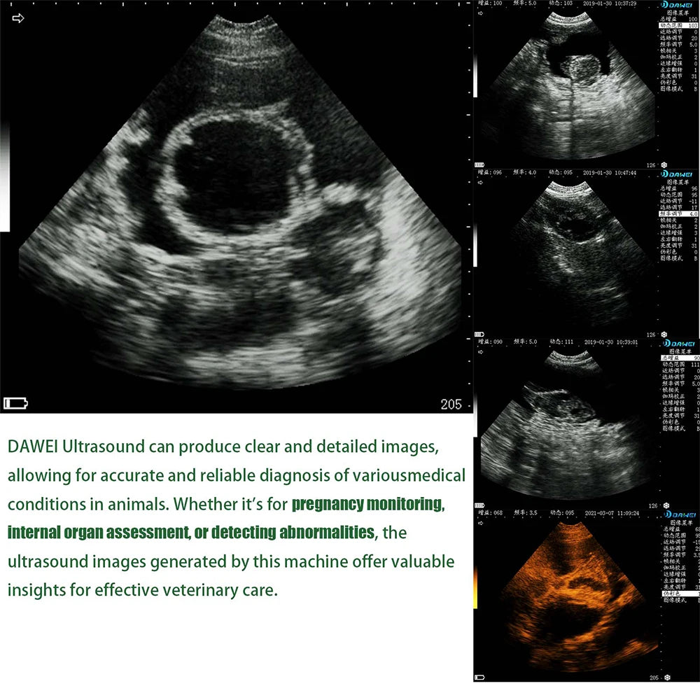 Dawei Portable Veterinary Ultrasound Scanner For Livestock Pregnancy
