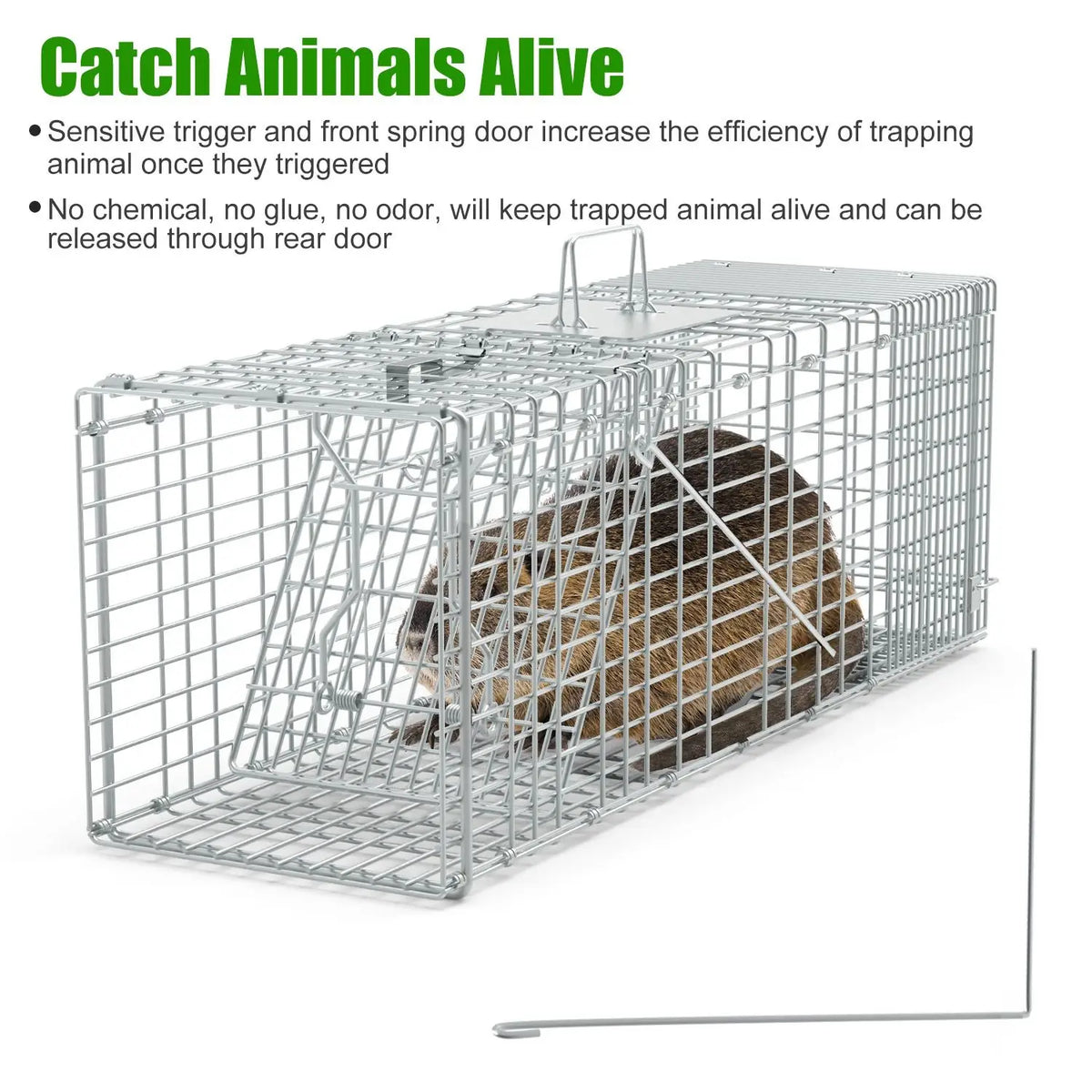 Collapsible Galvanized Wire Humane Animal Trap Cage With Gloves