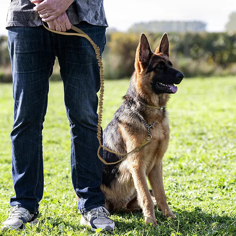 Adjustable Tactical Dog Leash With Dual Handles For Small Dogs