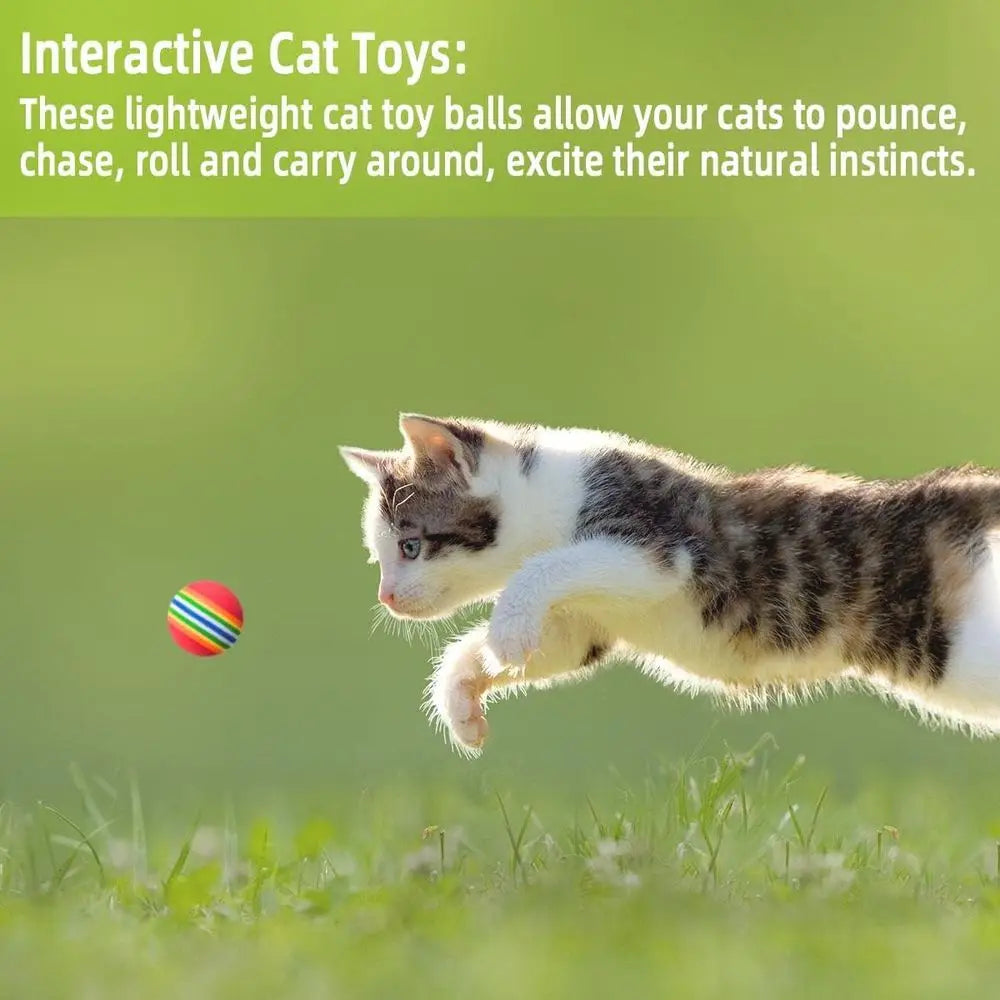 Set Of 12 Soft Interactive Cat And Dog Soccer Balls