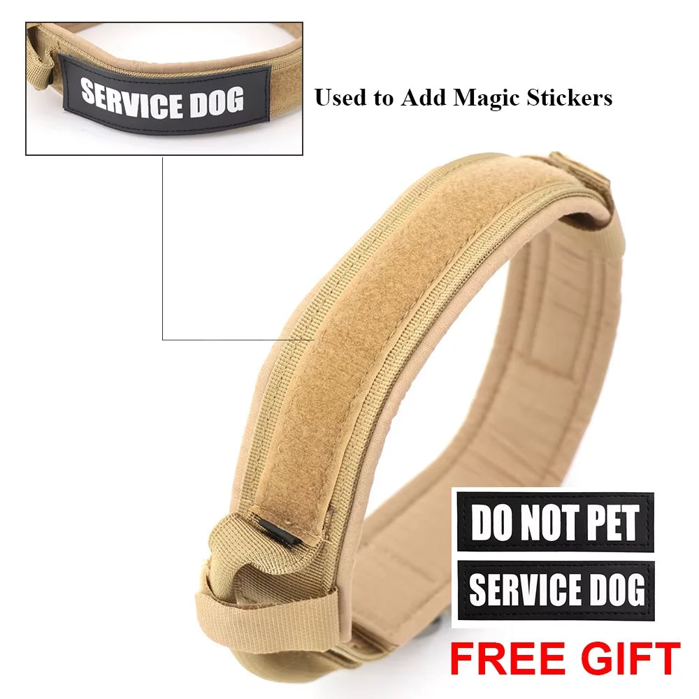 Adjustable Nylon Dog Training Collar And Leash Set With Handle