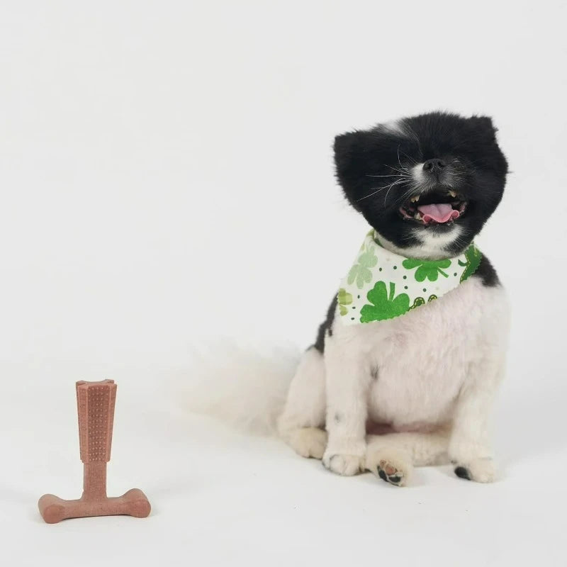 T Bone Nylon Chew Toy for Moderate and Aggressive Chewers