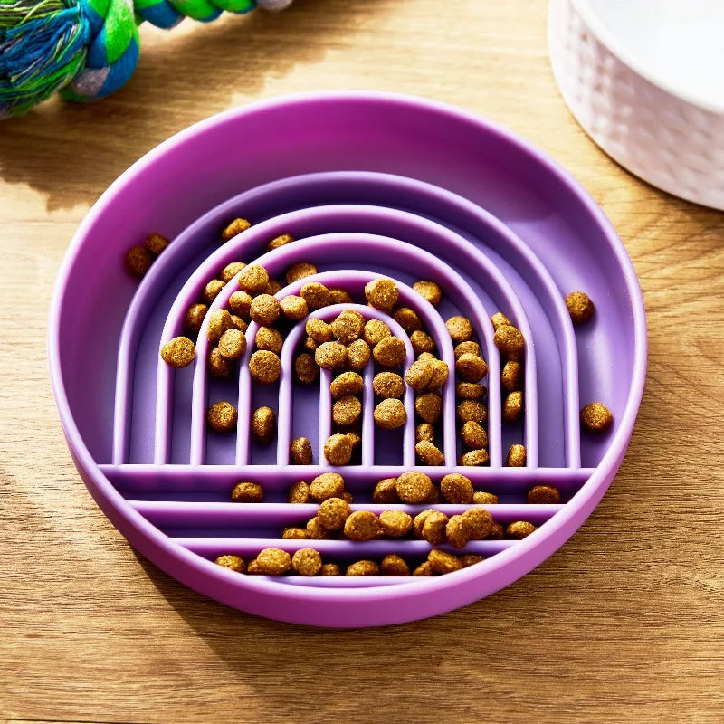 Silicone Slow Feeder Bowl For Pets Encourages Healthy Mealtime