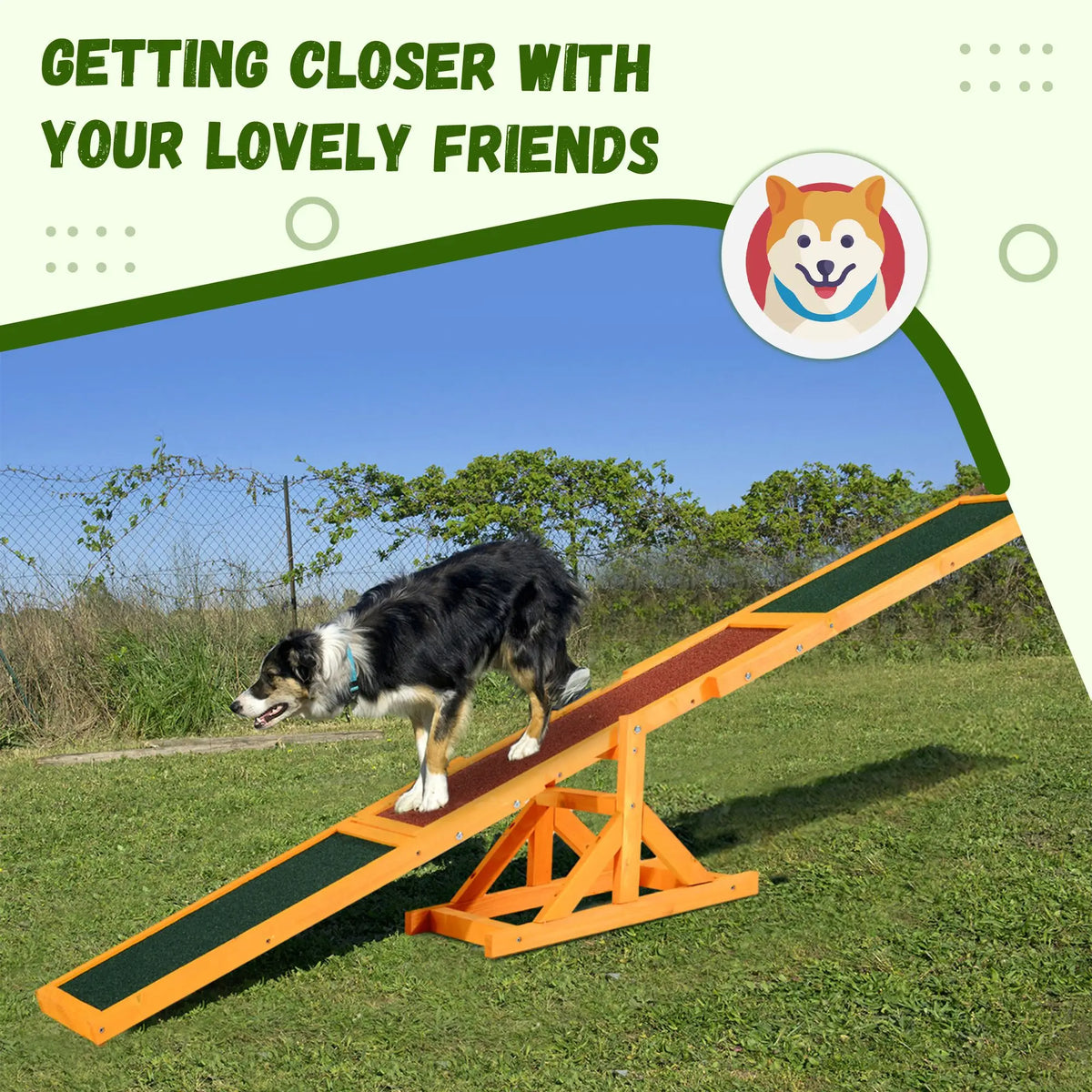 Professional Wooden Dog Agility Seesaw For Outdoor Training