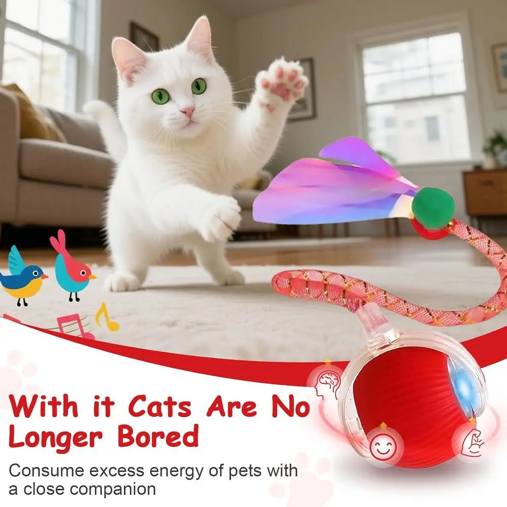 Automatic Rolling Interactive Ball For Indoor Cats And Dogs